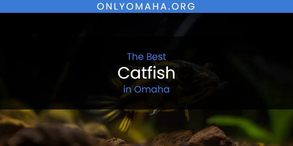 Omaha's Best Catfish [Updated 2025]