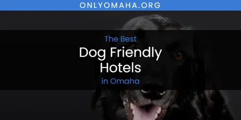 Omaha's Best Dog Friendly Hotels
