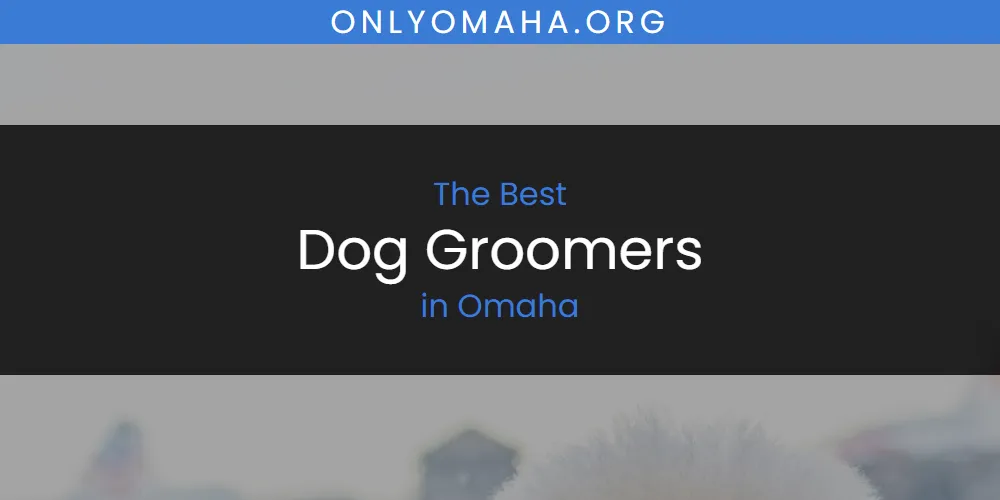 Omaha's Best Dog Groomers [Updated 2025]