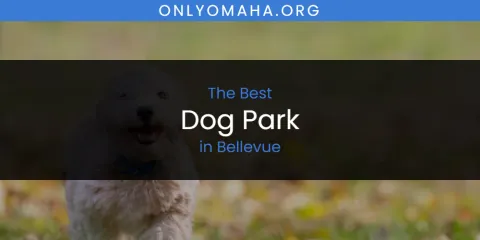 The Absolute Best Dog Park in Bellevue