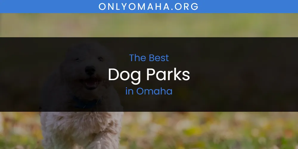 Omaha's Best Dog Parks [Updated 2025]