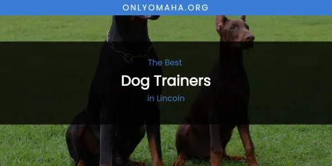 Lincoln's Best Dog Trainers