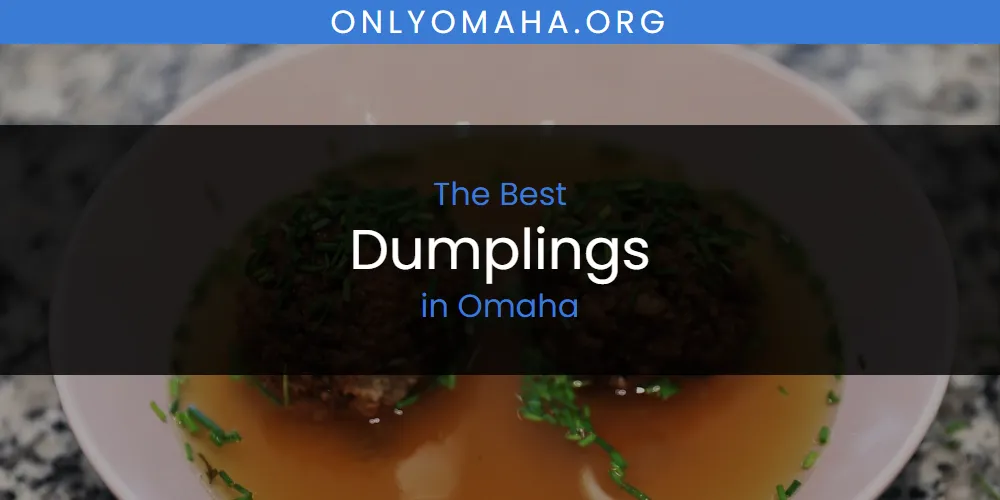 Omaha's Best Dumplings [Updated 2025]