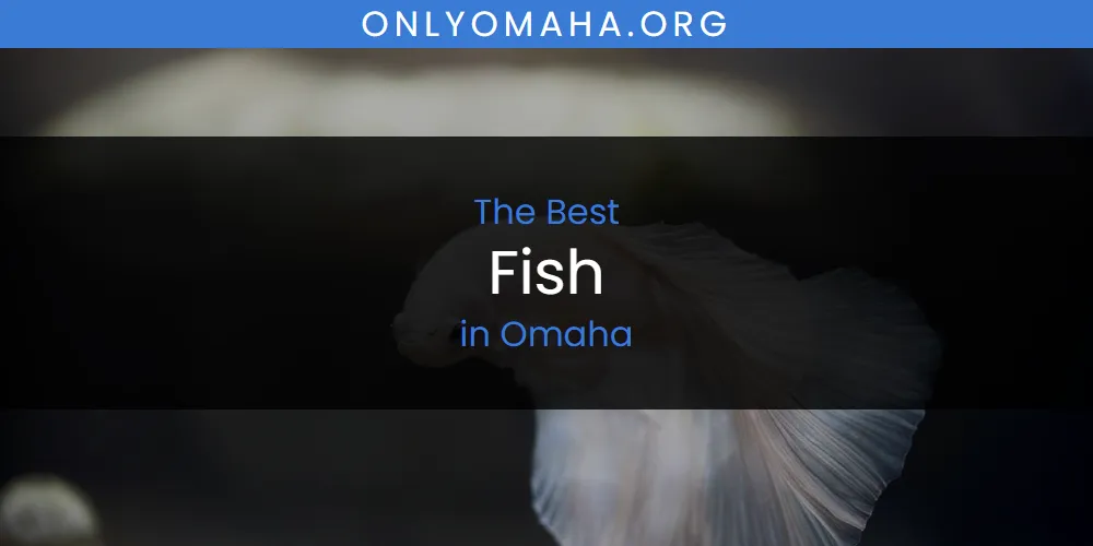 Omaha's Best Fish [Updated 2025]