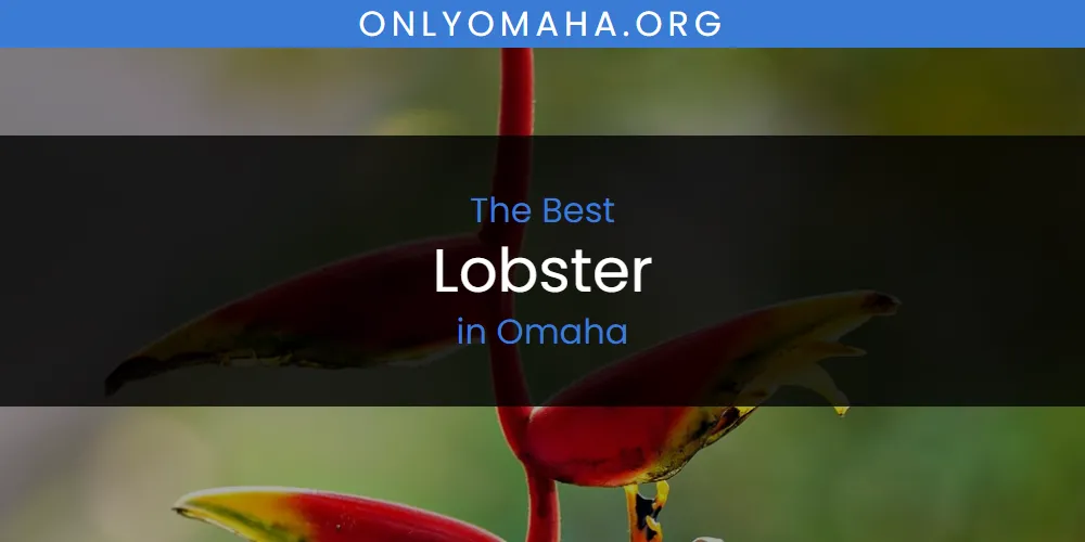 Omaha's Best Lobster [Updated 2025]