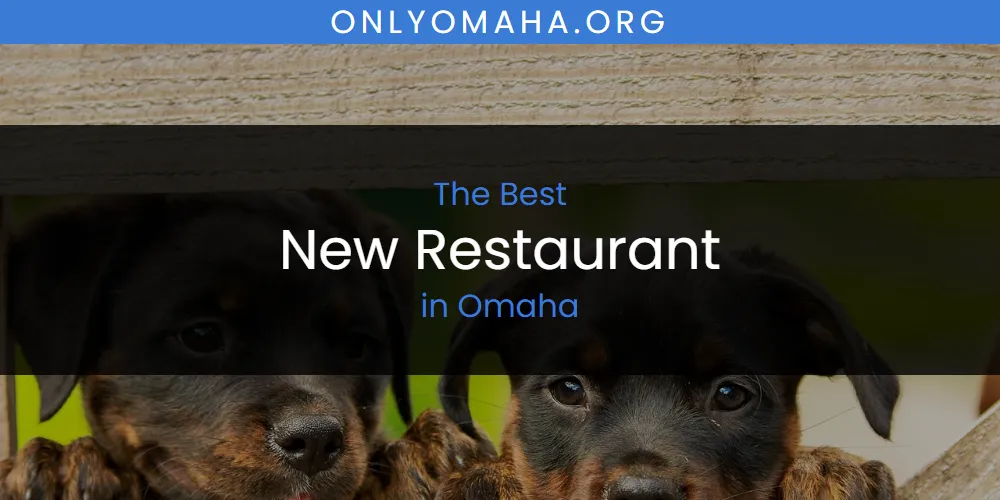 Omaha's Best New Restaurant featured