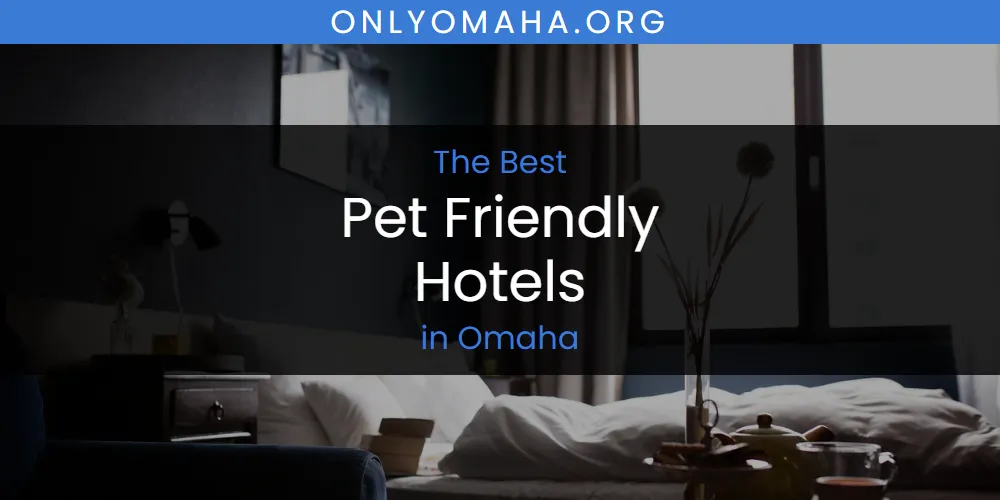 2026 Guide to Best Pet Friendly Hotels in Omaha
