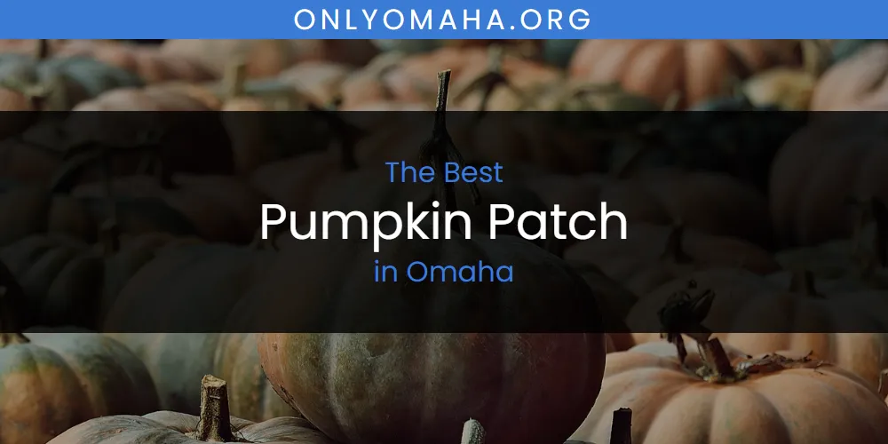 Omaha's Best Pumpkin Patch [Updated 2025]