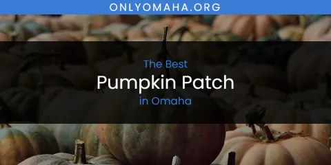Best Pumpkin Patch in Omaha: Complete Guide
