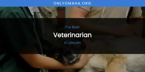 Lincoln's Best Veterinarian