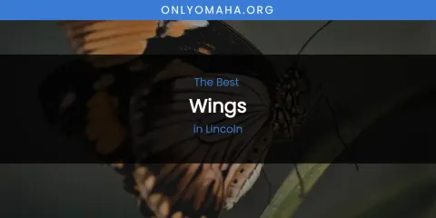 Lincoln's Best Wings